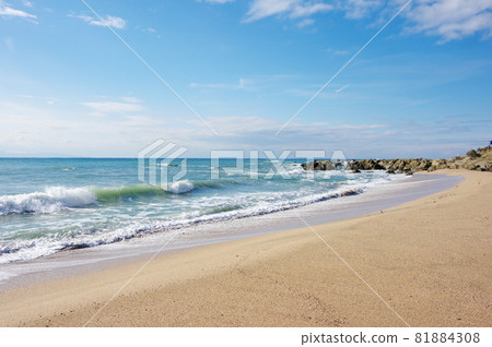 根本海灘(千葉縣南房總市) 根本海灘(千葉縣南房總市) 81884308