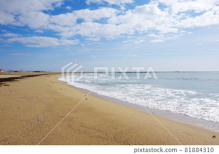 Nemoto Beach (Minamiboso City, Chiba Prefecture) 81884310