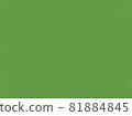 Green oil paint background 81884845