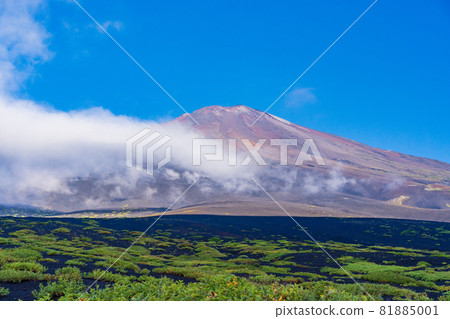 （靜岡縣）首次降雪的山頂富士山 81885001