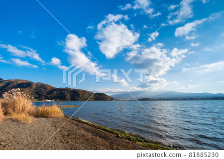 Autumn scenery of Mt. Fuji and Lake Kawaguchi 81885230