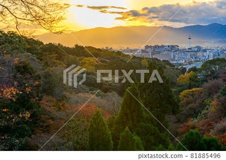 [Kyoto] Autumn leaves and the cityscape of Kyoto 81885496