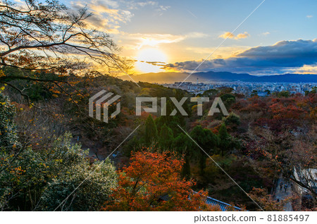 [Kyoto] Autumn leaves and the cityscape of Kyoto 81885497