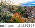 [Kyoto] Autumn leaves and the cityscape of Kyoto 81885498
