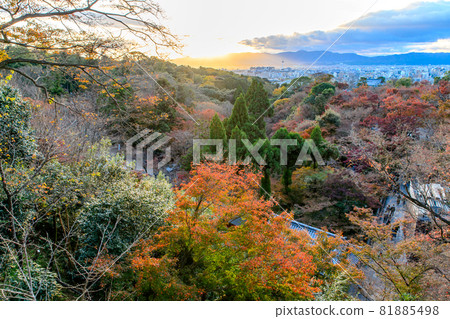 [Kyoto] Autumn leaves and the cityscape of Kyoto 81885498