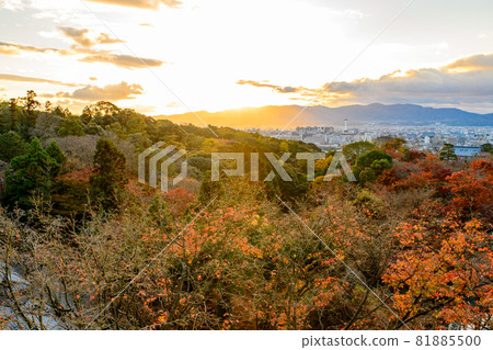 [Kyoto] Autumn leaves and the cityscape of Kyoto 81885500