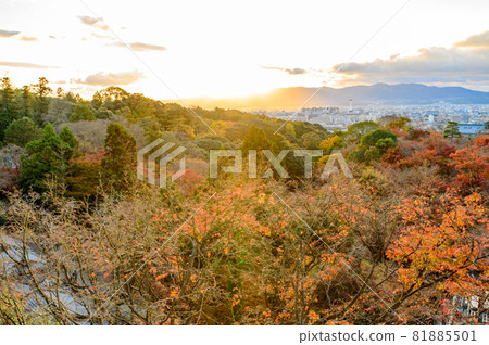 [Kyoto] Autumn leaves and the cityscape of Kyoto 81885501