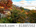 [Kyoto] Autumn leaves and temples 81885502