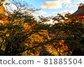 [Kyoto] Autumn leaves and temples 81885504
