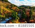 [Kyoto] Autumn leaves and temples 81885505