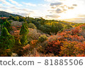 [Kyoto] Autumn leaves and the cityscape of Kyoto 81885506