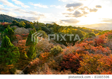 [Kyoto] Autumn leaves and the cityscape of Kyoto 81885506