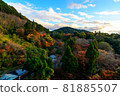 [Kyoto] Autumn leaves and the cityscape of Kyoto 81885507