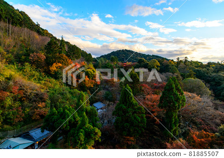[Kyoto] Autumn leaves and the cityscape of Kyoto 81885507