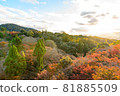 [Kyoto] Autumn leaves and the cityscape of Kyoto 81885509