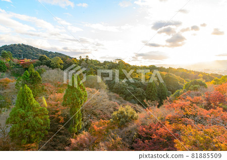 [Kyoto] Autumn leaves and the cityscape of Kyoto 81885509
