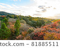 [Kyoto] Autumn leaves and the cityscape of Kyoto 81885511