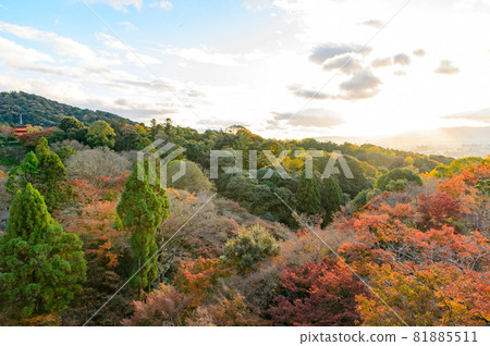 [Kyoto] Autumn leaves and the cityscape of Kyoto 81885511