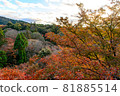 [Kyoto] Autumn sunset and autumn leaves 81885514
