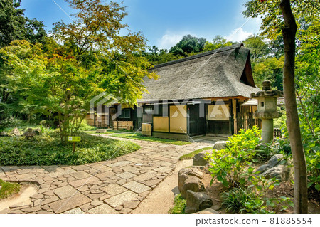 埼玉縣新座市信留市臨濟宗妙心寺金峰山平輪寺 埼玉縣新座市信留市臨濟宗妙心寺金峰山平輪寺 81885554