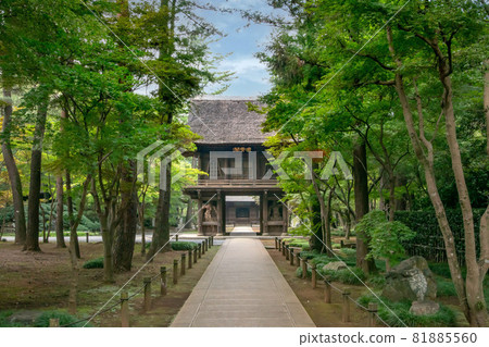 埼玉縣新座市信留市臨濟宗妙心寺金峰山平輪寺 埼玉縣新座市信留市臨濟宗妙心寺金峰山平輪寺 81885560