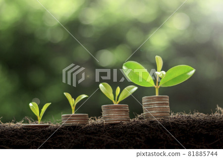 Plant growing step on coins. concept finance and accounting. The coins are stacked on the ground and the seedlings are growing on top. Saving money and financial and business growth concept. Plant growing step on coins. concept finance and accounting. The coins are stacked on the ground and the seedlings are growing on top. Saving money and financial and business growth concept. 81885744