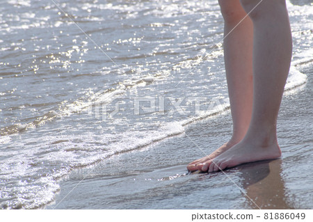 探索海岸線 探索海岸線 81886049