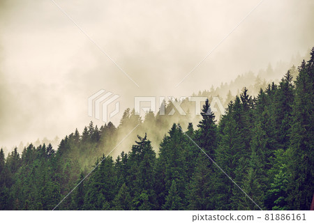 Misty mountain landscape Misty mountain landscape 81886161