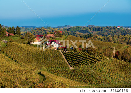 Wine road, Maribor, Slovenia 81886188