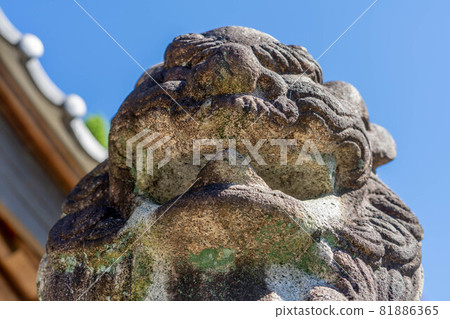 萩野神社 81886365