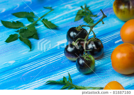 Raw black tomatoes Gold Berries ready to eat. Tomatoes on blue wooden table. 81887180