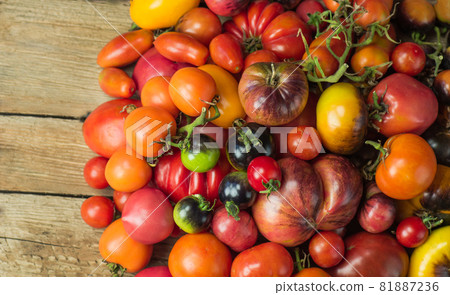 Organic tomatoes on a wooden background. Assorted tomatoes background Organic tomatoes on a wooden background. Assorted tomatoes background 81887236