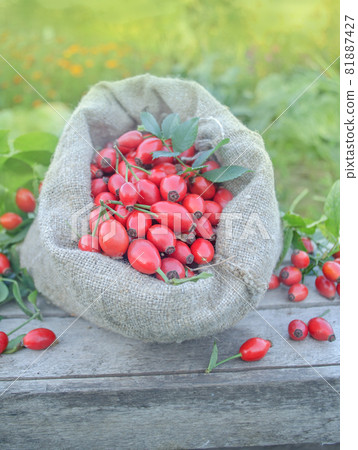 Rose hip fruit in a burlap bag over a wooden background 81887427