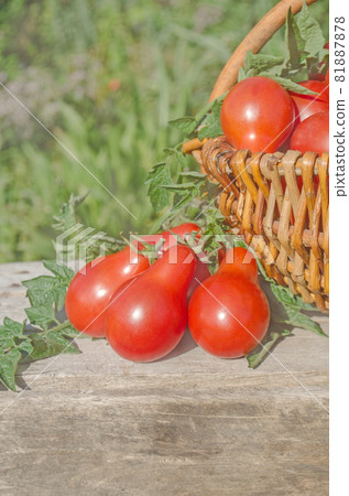 Fresh, ripe tomatoes on wood background Fresh, ripe tomatoes on wood background 81887878