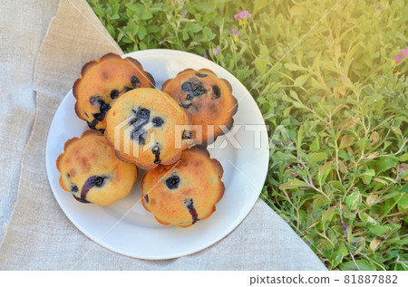 Fresh blueberry muffin Fresh blueberry muffin 81887882