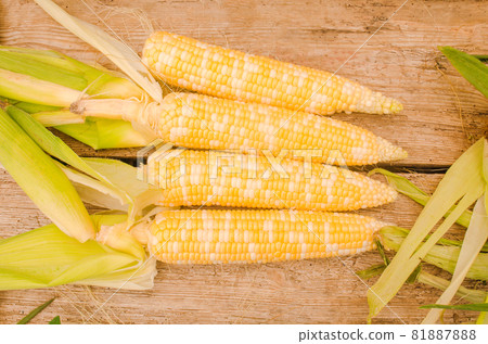 Ripe corn on cobs on rustic table Ripe corn on cobs on rustic table 81887888