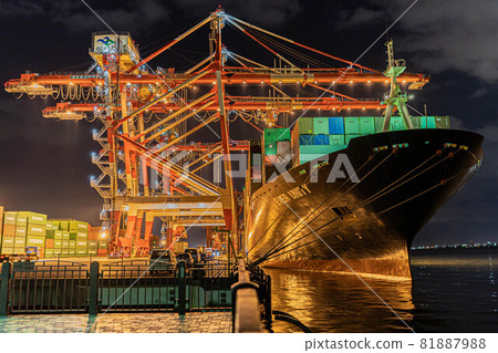 Gantry crane and container ship [Aomi Container Terminal] 81887988