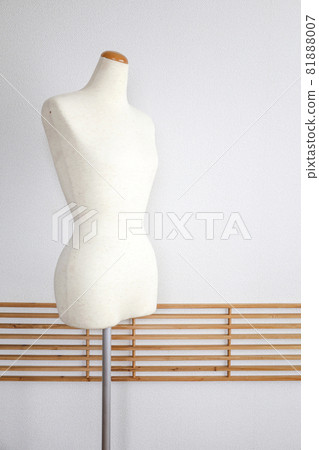 Torso in the room Torso in the room 81888007