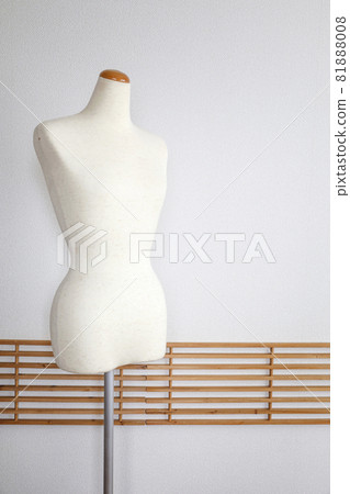 Torso in the room 81888008