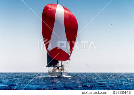 Sailing boat with red sail during the regatta Sailing boat with red sail during the regatta 81888448
