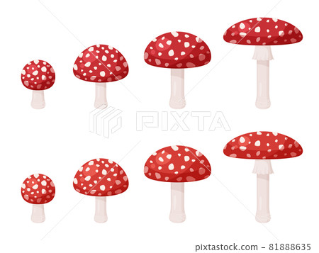 Fly agaric illustration material set 81888635
