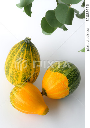 Decorative pumpkin Halloween Decorative pumpkin Halloween 81888636