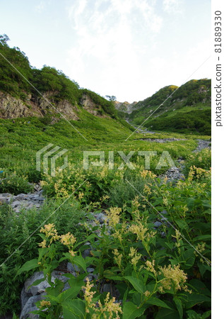 長野縣松本市日本阿爾卑斯山上高地的日本百名名山夏季奧穗高岳路線上的烏澤馬戲團的晨光 長野縣松本市日本阿爾卑斯山上高地的日本百名名山夏季奧穗高岳路線上的烏澤馬戲團的晨光 81889330