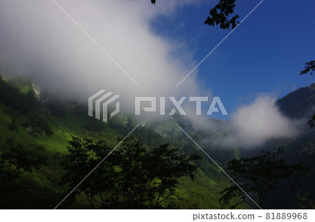 長野縣松本市日本阿爾卑斯100名山夏季奧穗高山路線上烏澤馬戲團前的風景 81889968