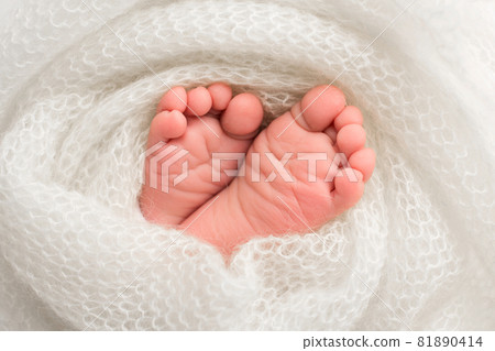 feet of a newborn baby, a soft knitted blanket of white color, toes and heels of a newborn, studio photography. feet of a newborn baby, a soft knitted blanket of white color, toes and heels of a newborn, studio photography. 81890414