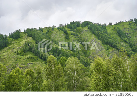 Vacation landscape. Russian Altai mountains. Multa region. Staycation concept Vacation landscape. Russian Altai mountains. Multa region. Staycation concept 81890503