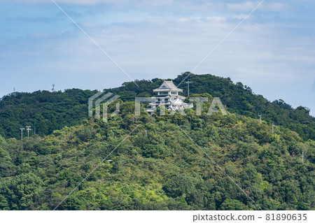 Hiwasa castle 81890635