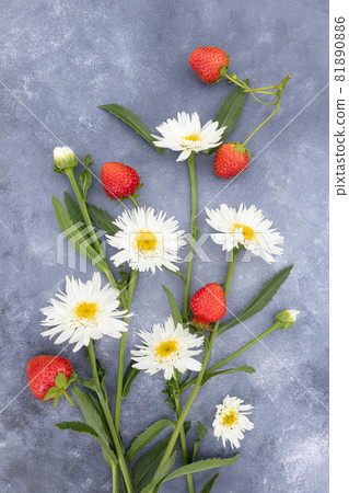 A bouquet of chamomile and strawberry on a gray background .Postcard. A bouquet of chamomile and strawberry on a gray background .Postcard. 81890886
