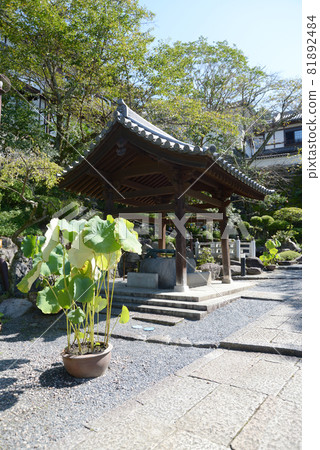 Okadera Chozuya Asuka Village, Nara Prefecture 81892484