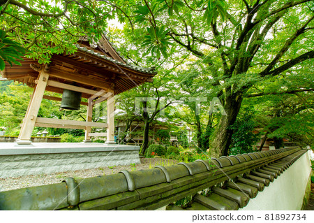 綠意盎然的法善寺 綠意盎然的法善寺 81892734